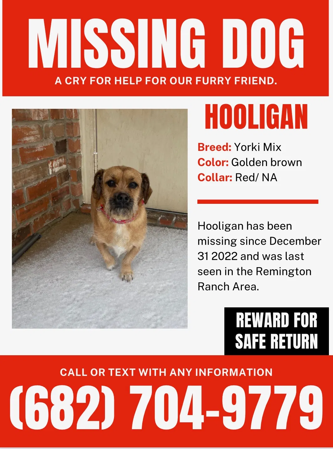 Lost dog in Mansfield, TX, 76063