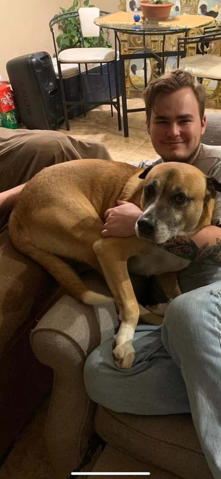 Lost dog in Casa Grande, AZ, 85122