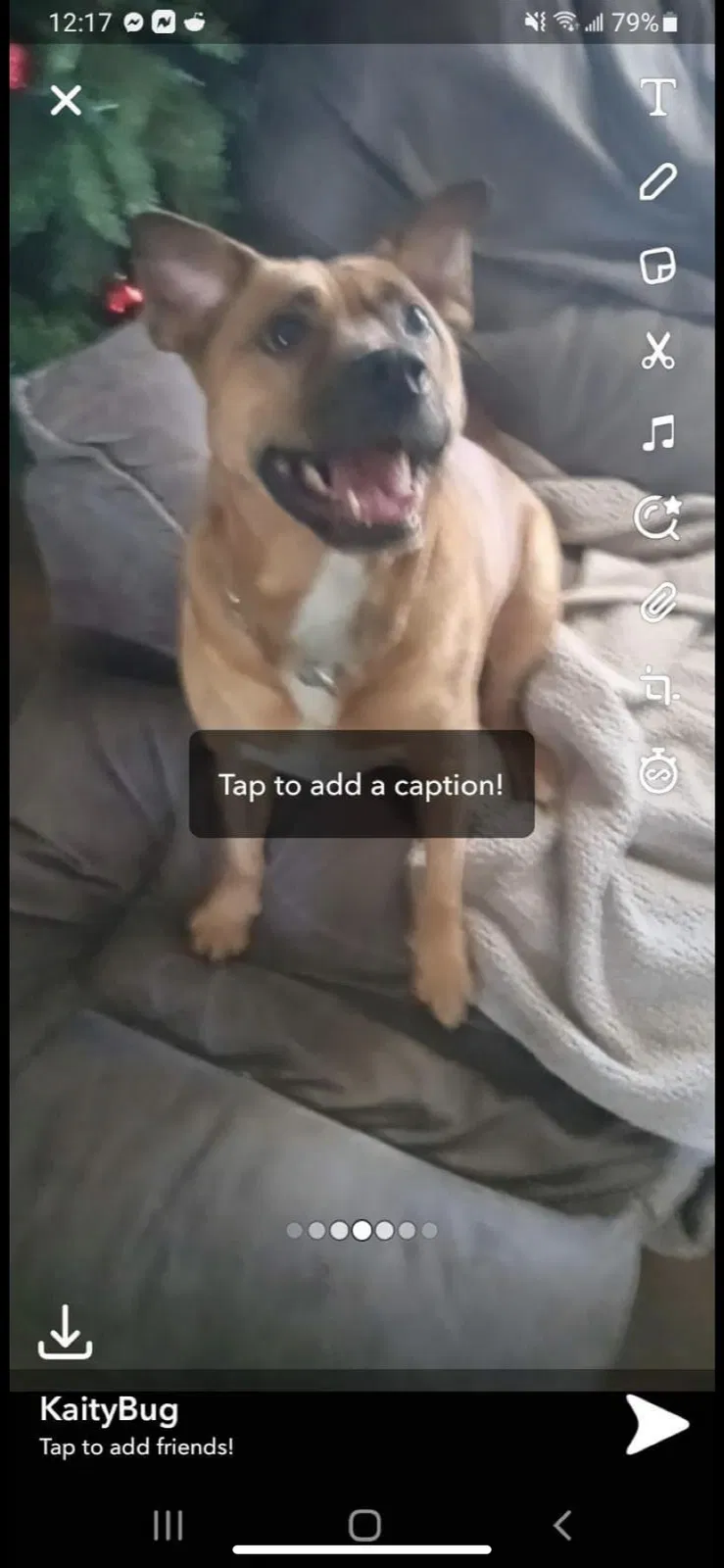 Lost dog in Adairsville, GA, 30103