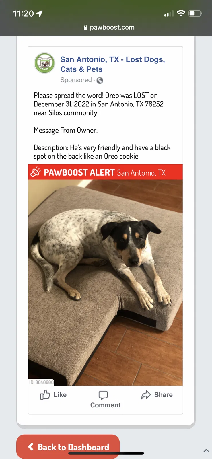 Lost dog in San Antonio, TX, 78252