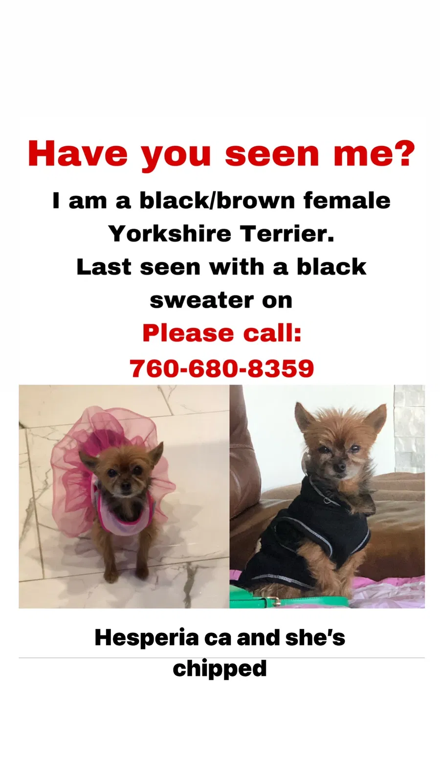 Lost dog in Hesperia, CA, 92344