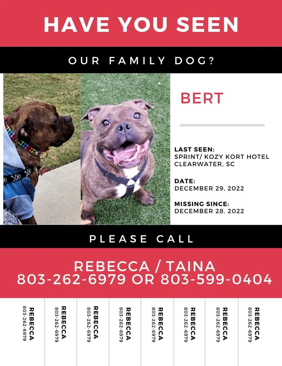 Lost dog in Beech Island, SC, 29842