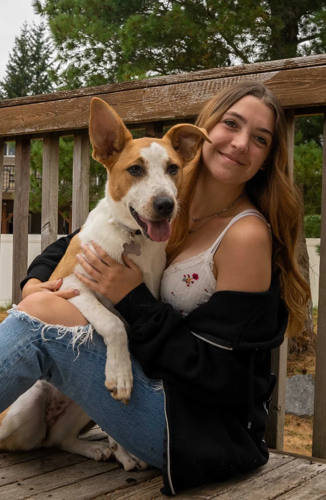Lost dog in Hemet, CA, 92545