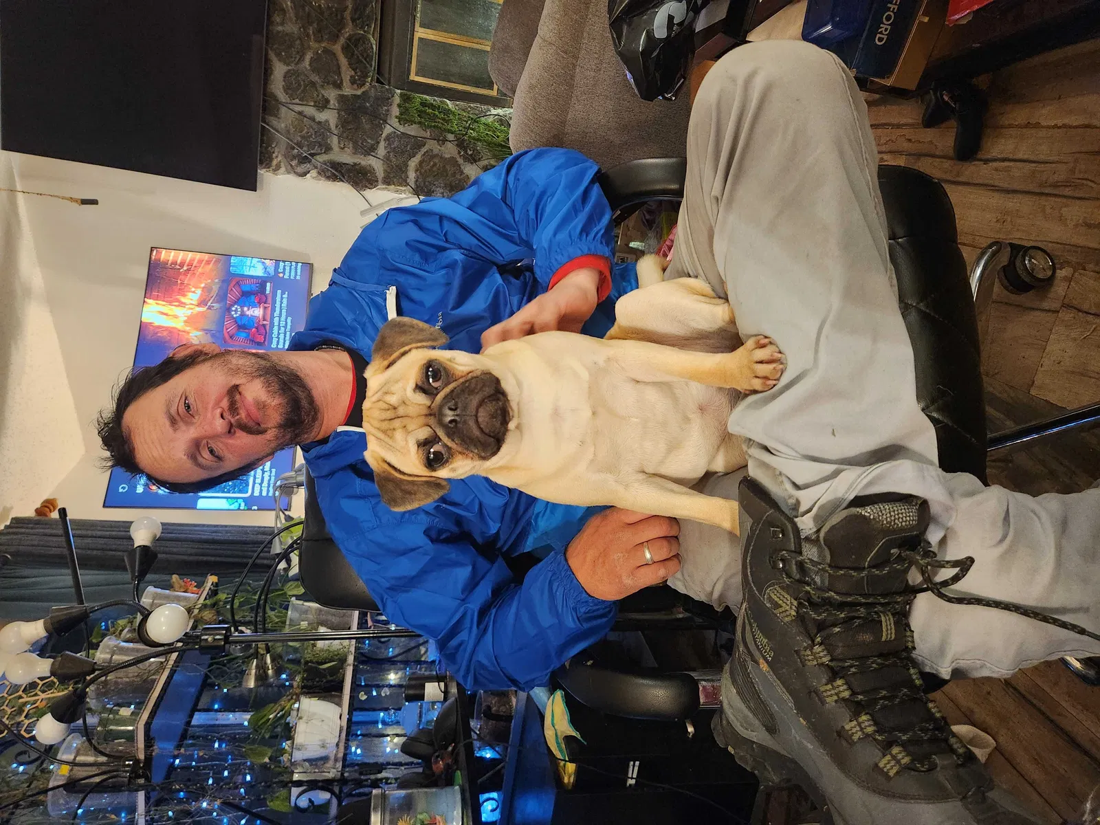 Lost dog in Spokane, WA, 99223