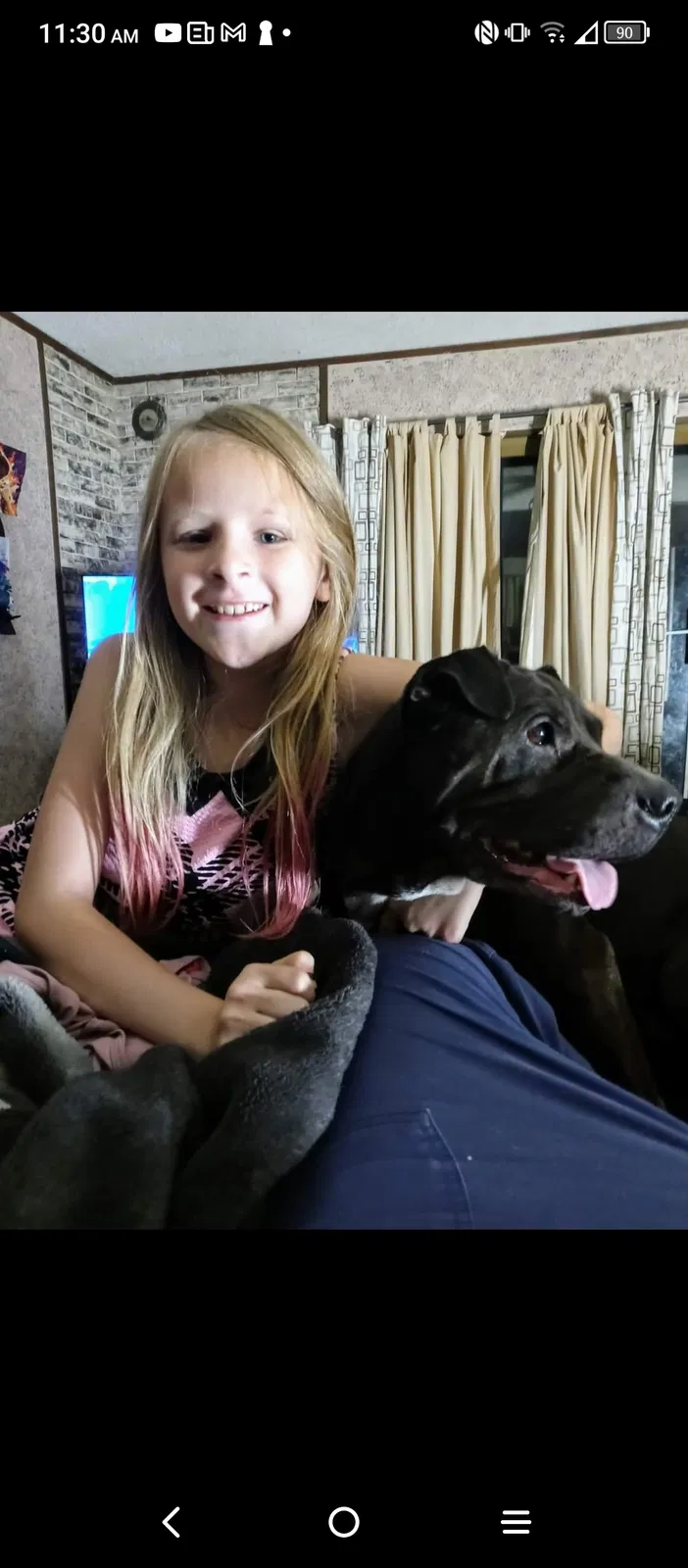 Lost dog in Birch Run, MI, 48415