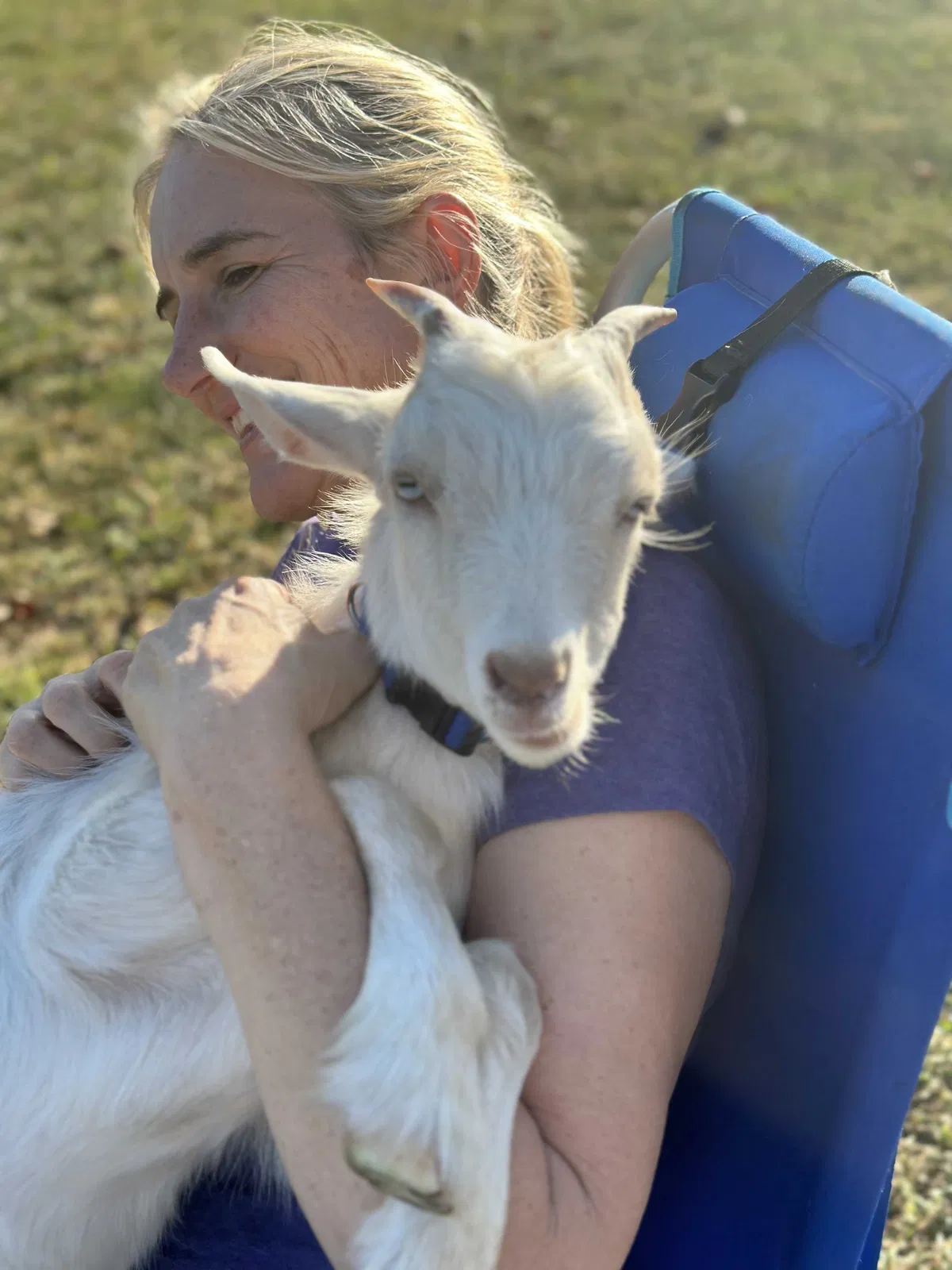 Lost dog in Franklin, NC, 28734