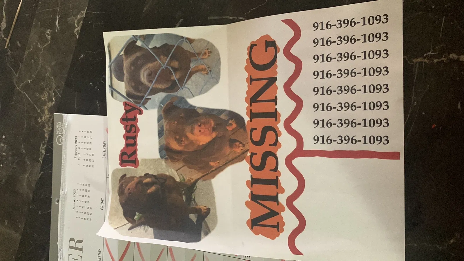 Lost dog in Rio Linda, CA, 95673