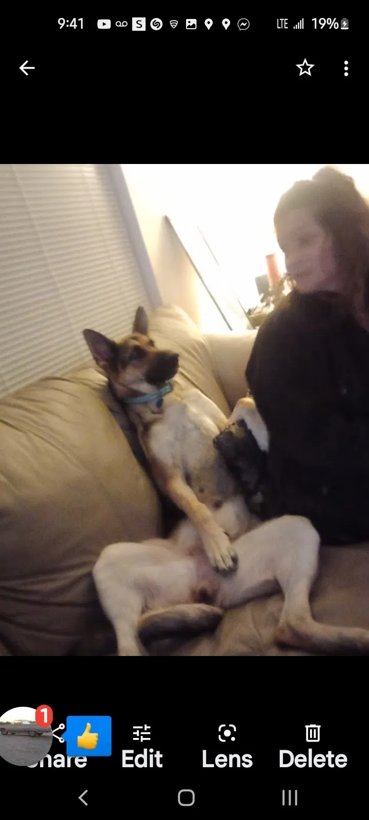 Lost dog in Wichita, KS, 67217