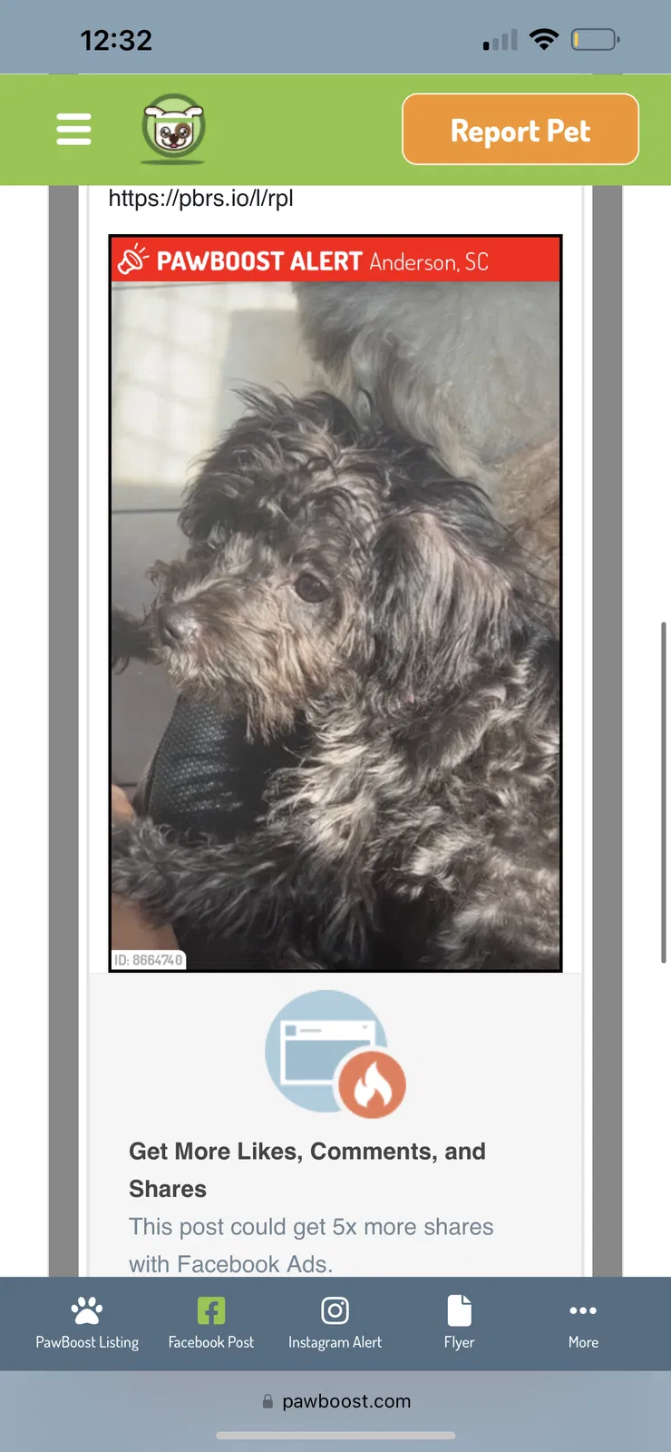 Lost dog in Inman, SC, 29349