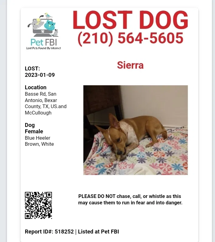 Lost dog in San Antonio, TX, 78212