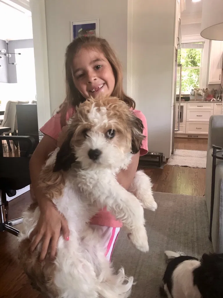 Lost dog in Atlanta, GA, 30318