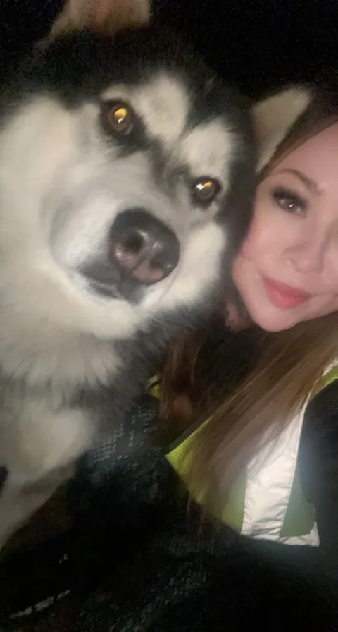 Found dog in Apple Valley, CA, 92308