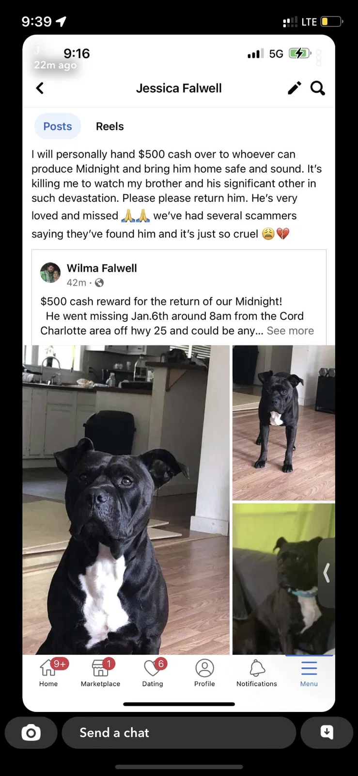 Lost dog in Cord, AR, 72524