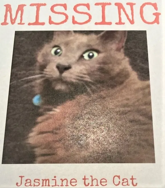 Lost cat in Boynton Beach, FL, 33426