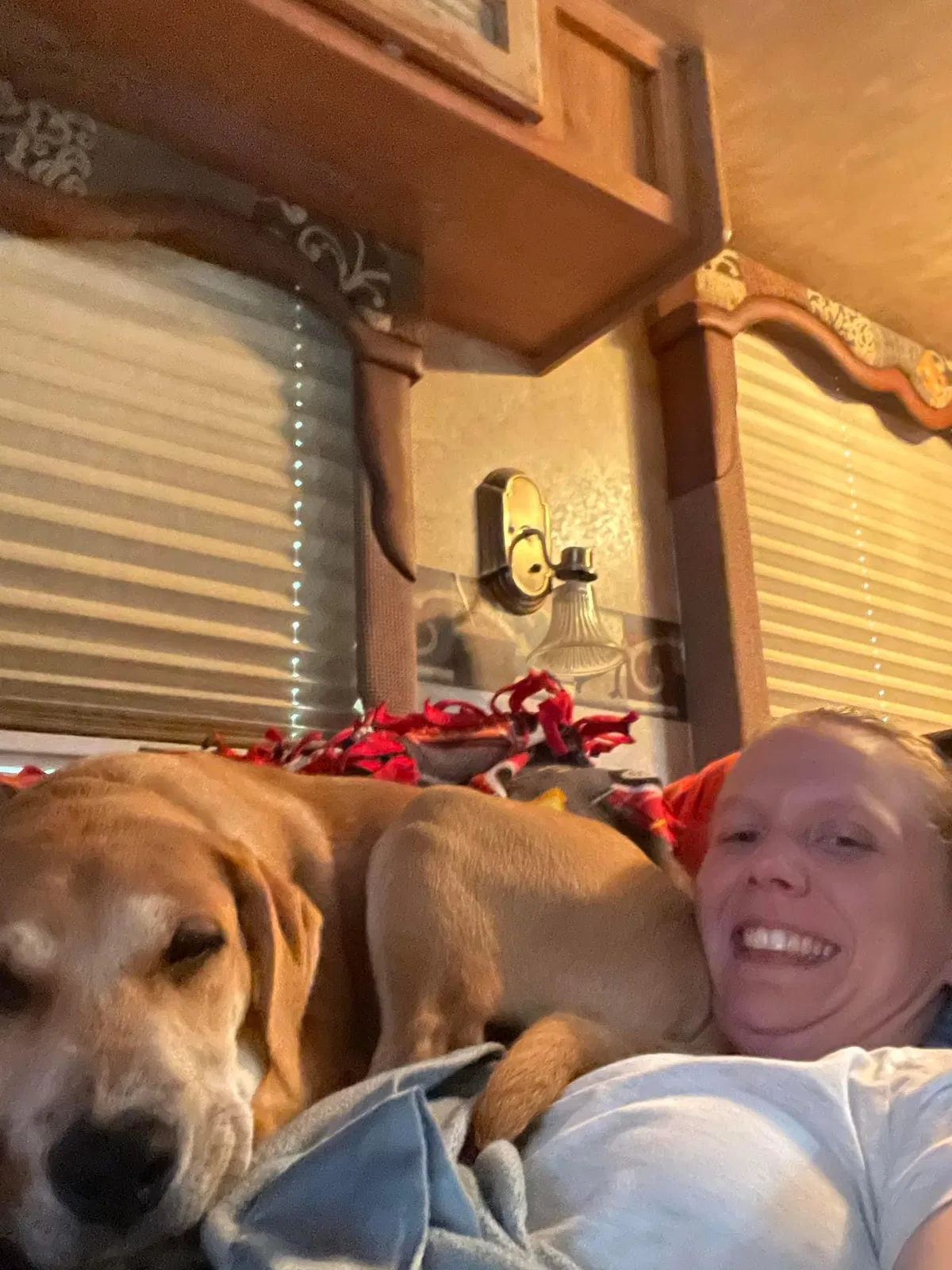 Lost dog in Claremore, OK, 74017