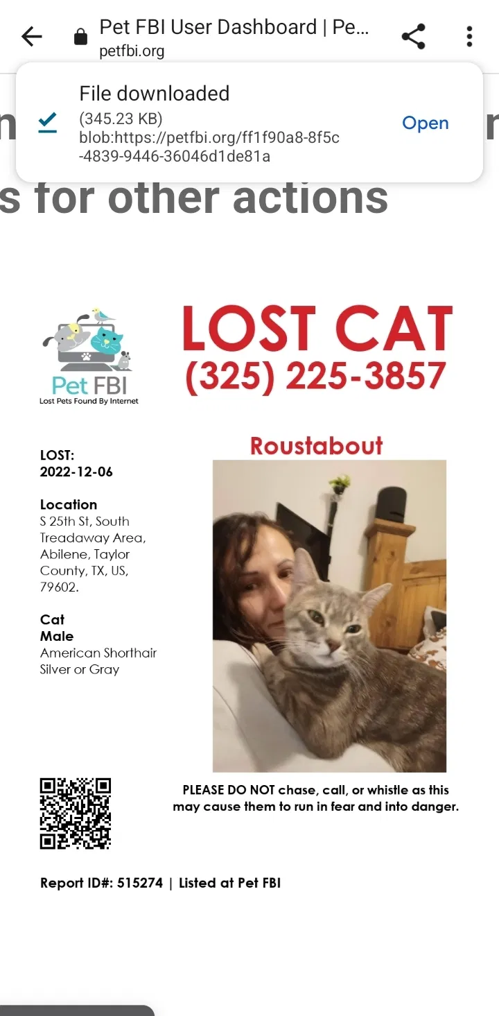Lost cat in Abilene, TX, 79604