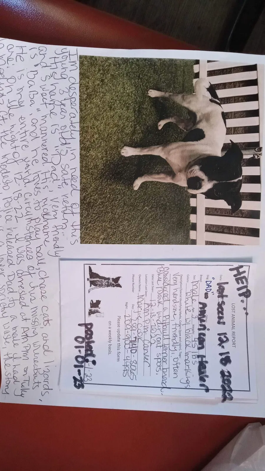 Lost dog in Modesto, CA, 95356