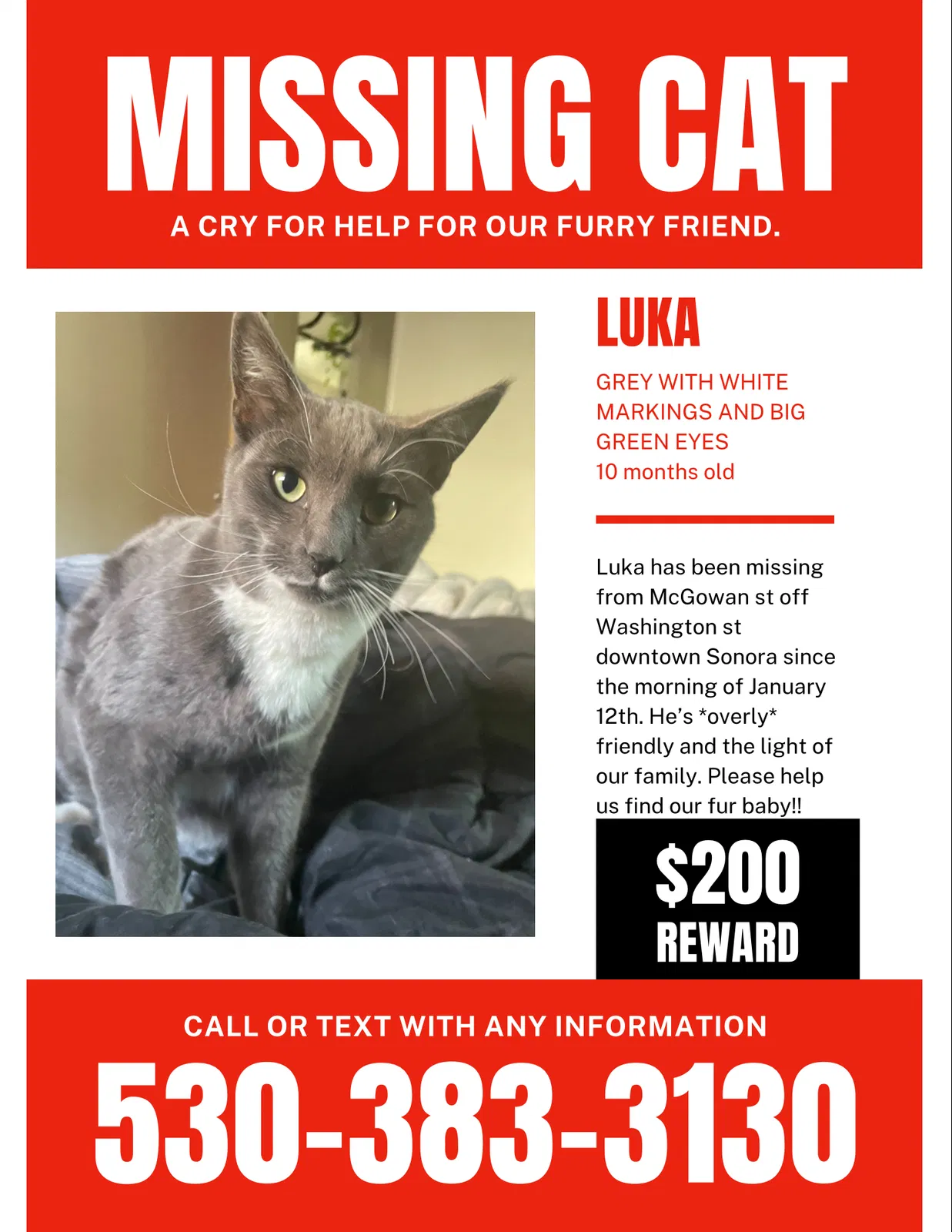 Lost cat in Sonora, CA, 95370
