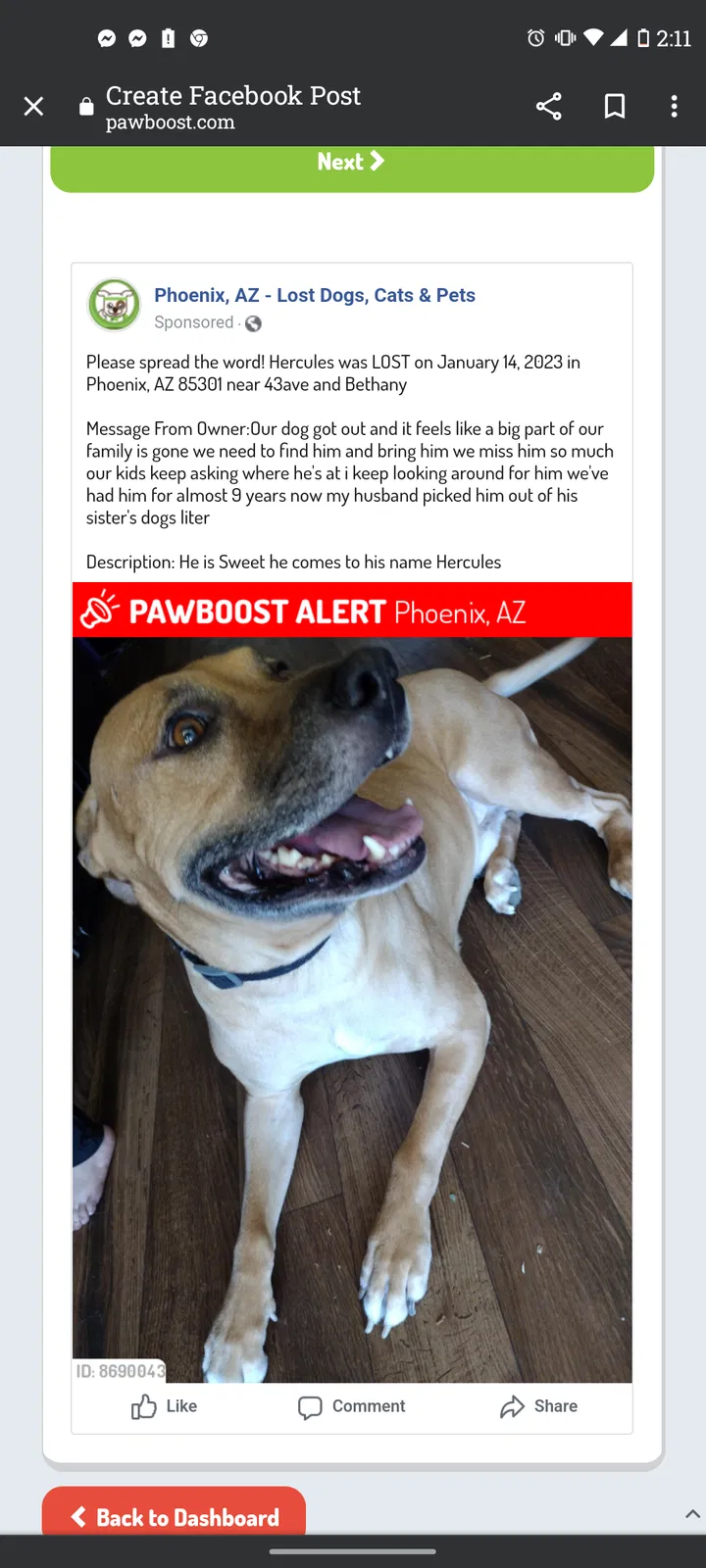 Lost dog in Glendale, AZ, 85301