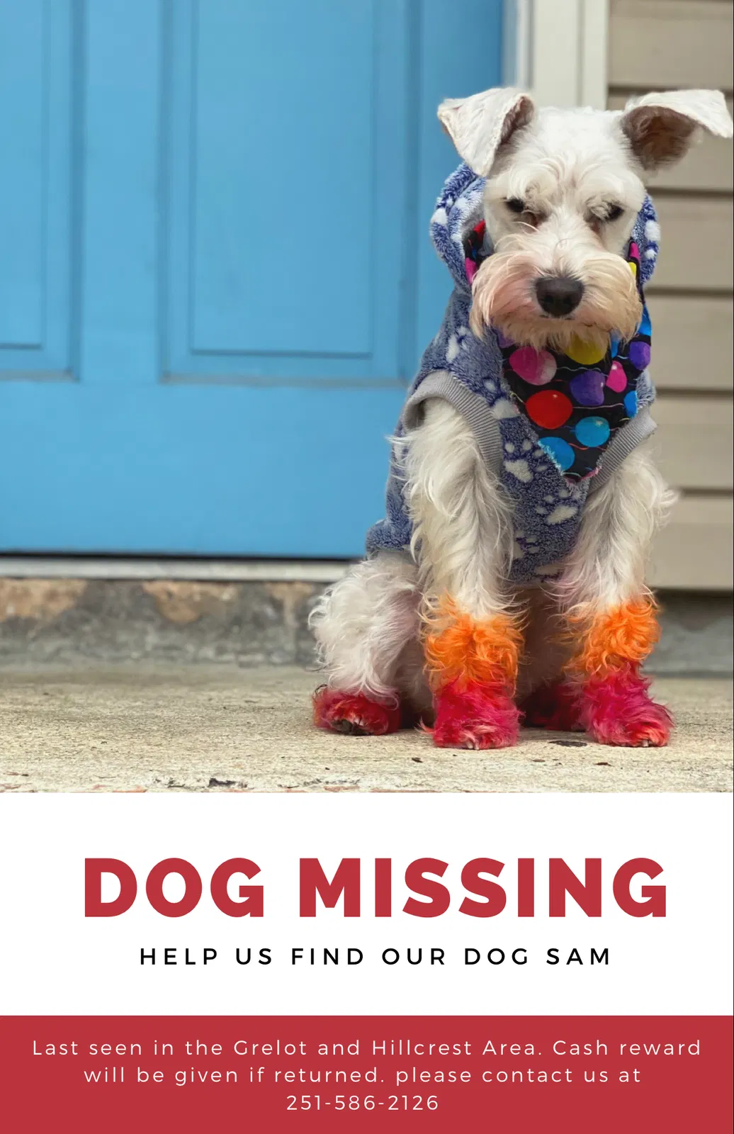 Lost dog in Mobile, AL, 36695
