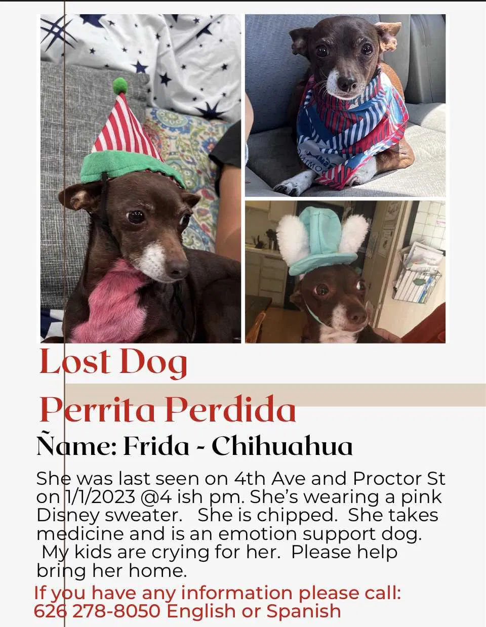 Lost dog in La Puente, CA, 91746