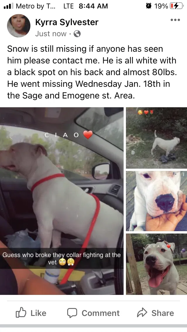 Lost dog in Mobile, AL, 36606