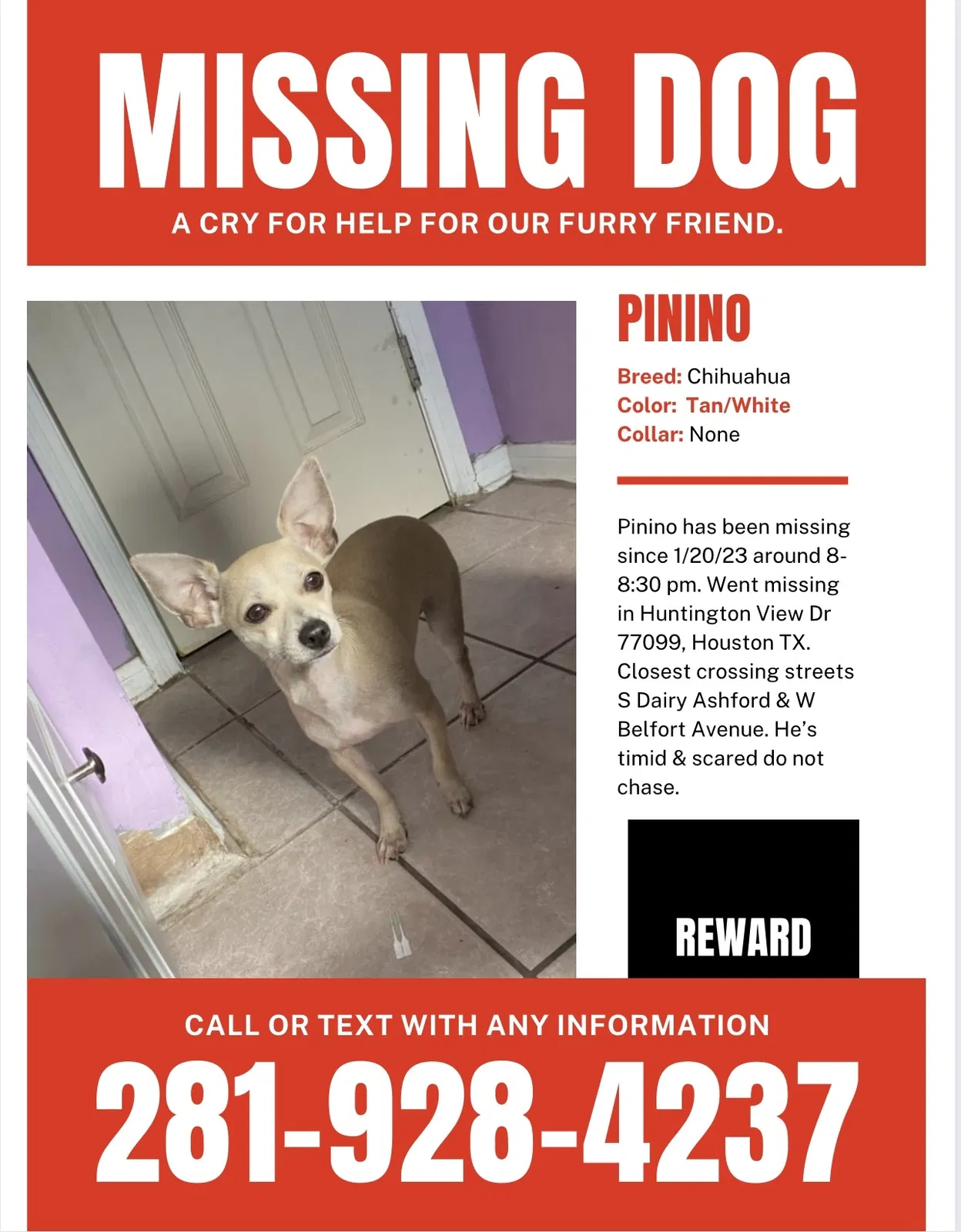 Lost dog in Houston, TX, 77099