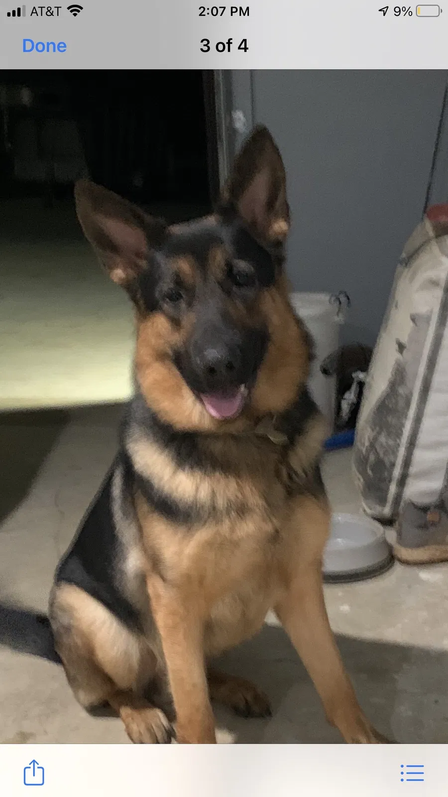 Lost dog in Sherwood, AR, 72120