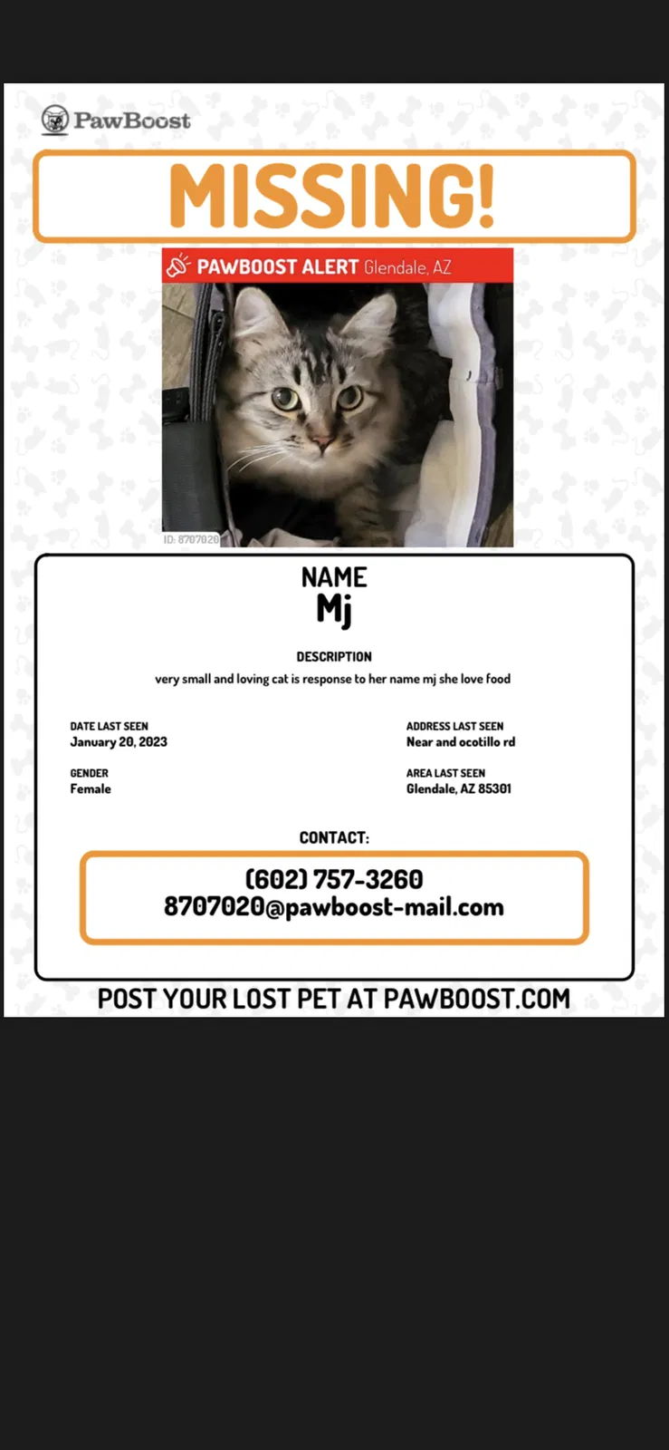 Lost cat in Glendale, AZ, 85301
