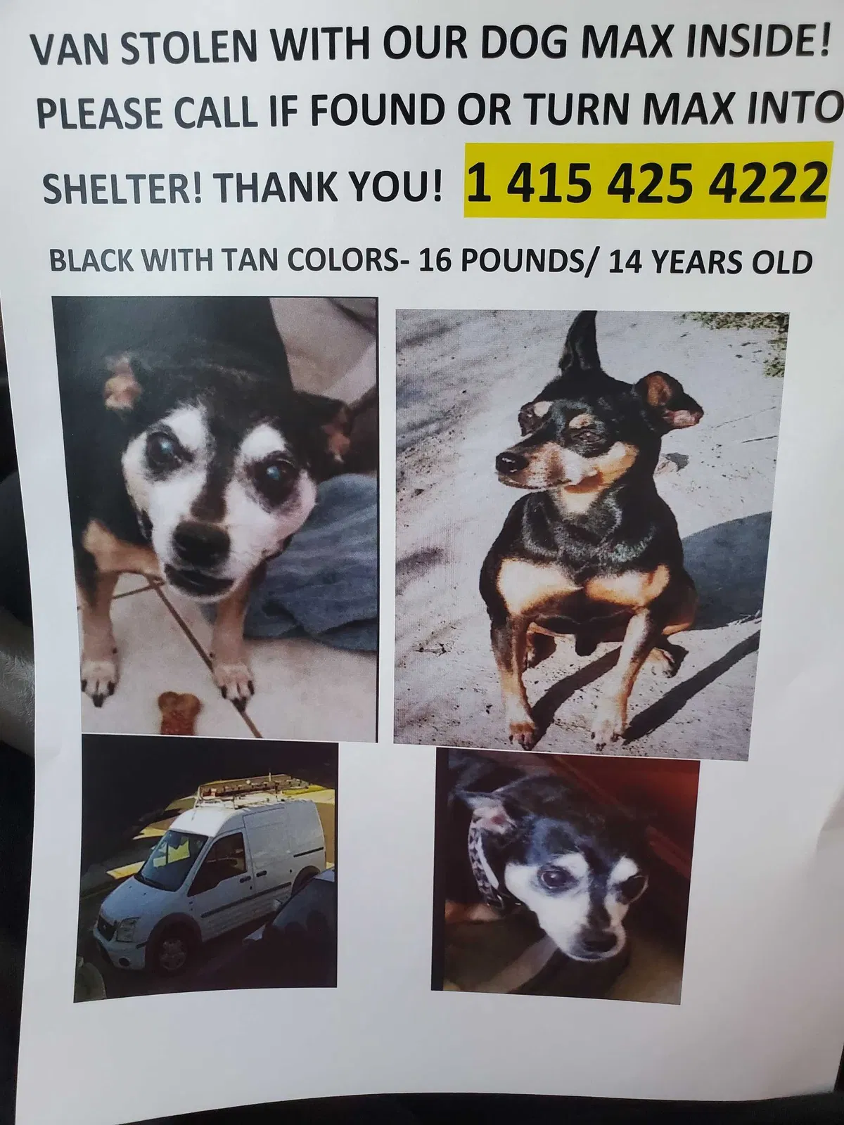 Lost dog in Concord, CA, 94520