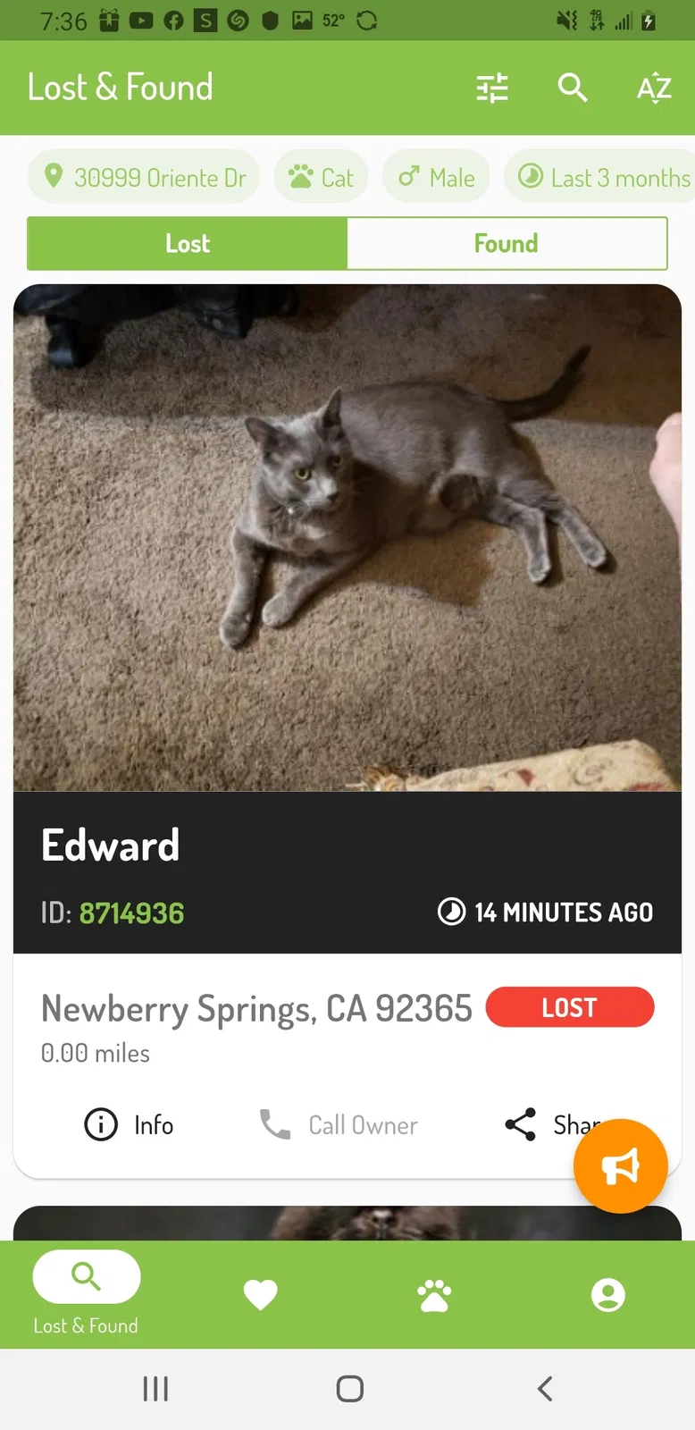 Lost cat in Newberry Springs, CA, 92365