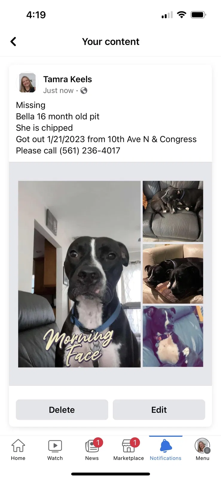 Lost dog in Lake Worth, FL, 33461