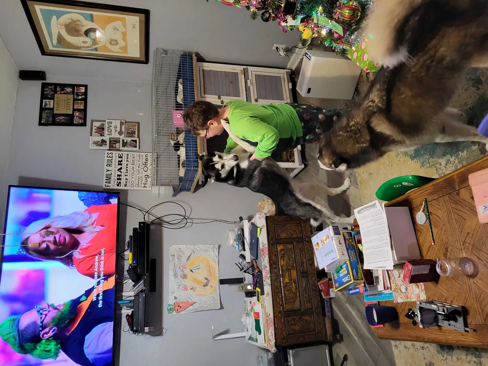 Lost dog in Oklahoma City, OK, 73106