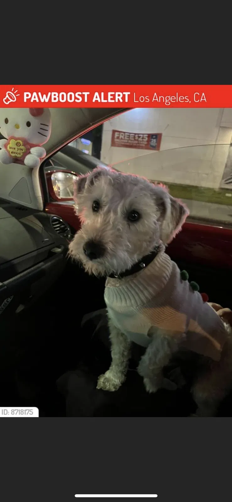 Lost dog in Los Angeles, CA, 90001