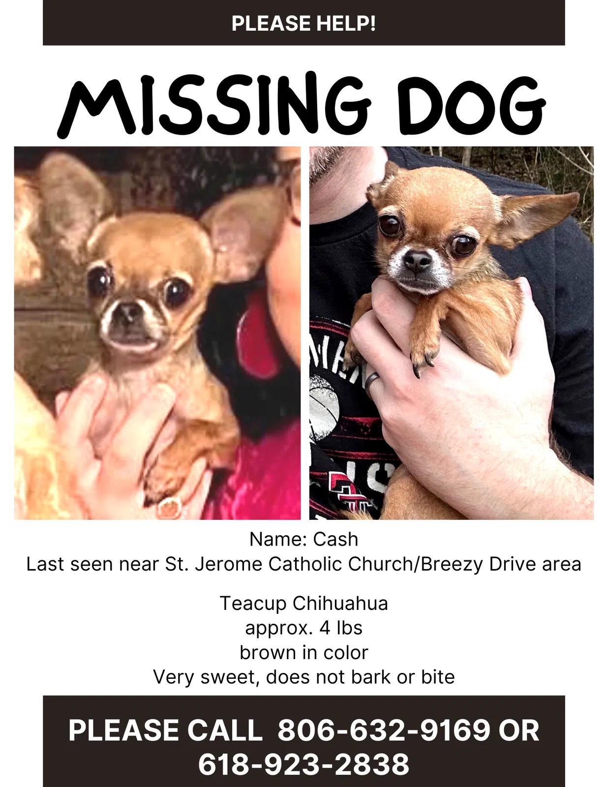 Lost dog in Woodway, TX, 76712