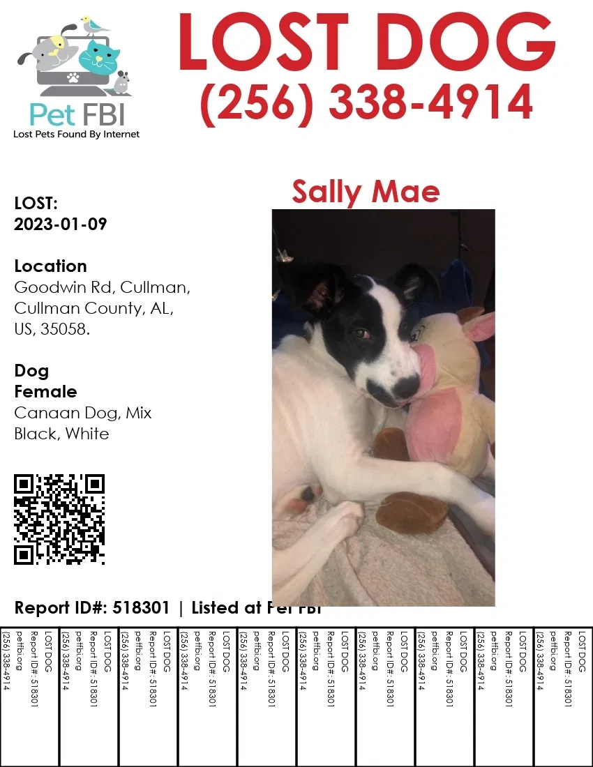Lost dog in Cullman, AL, 35058