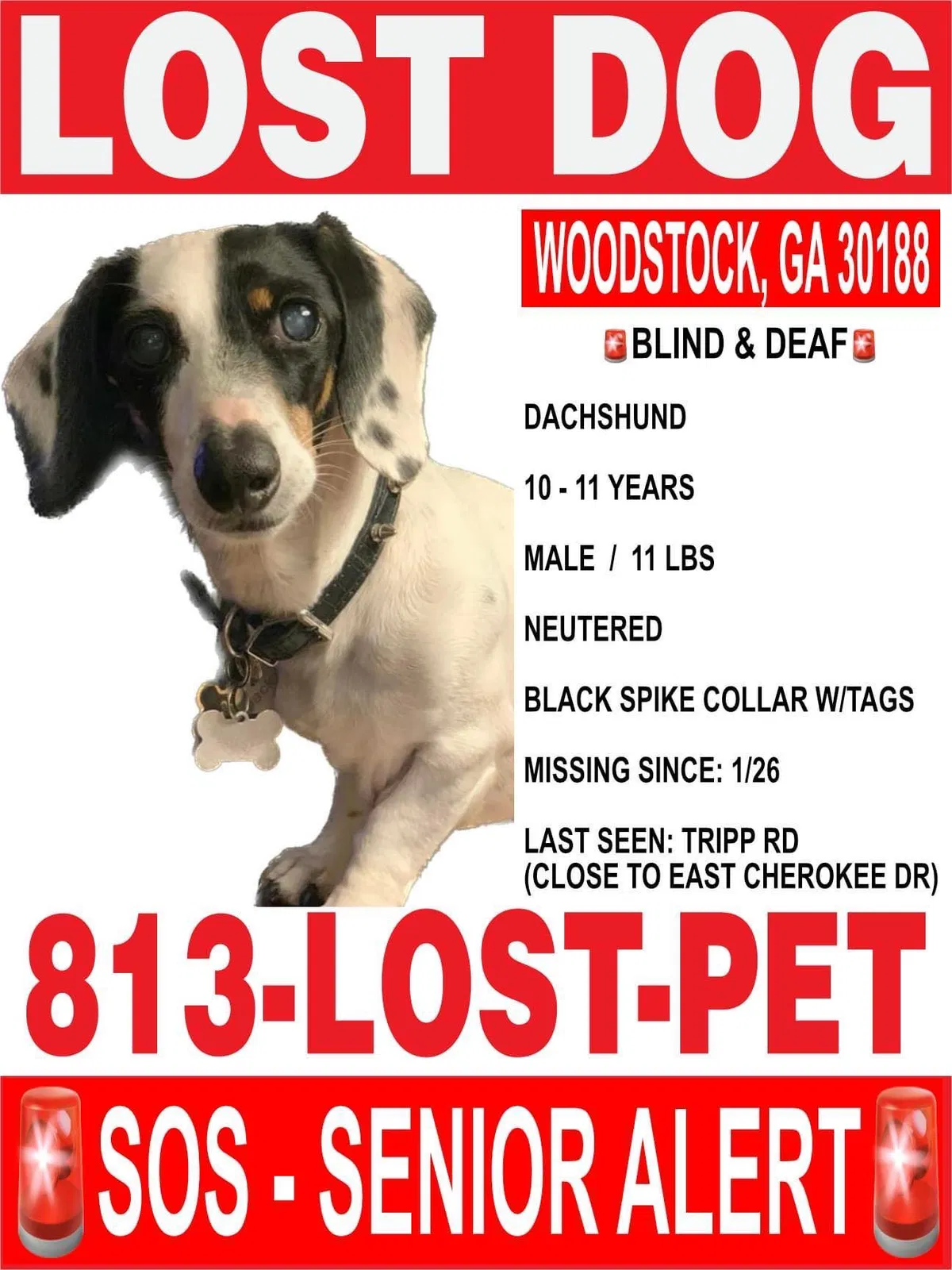 Lost dog in Woodstock, GA, 30188