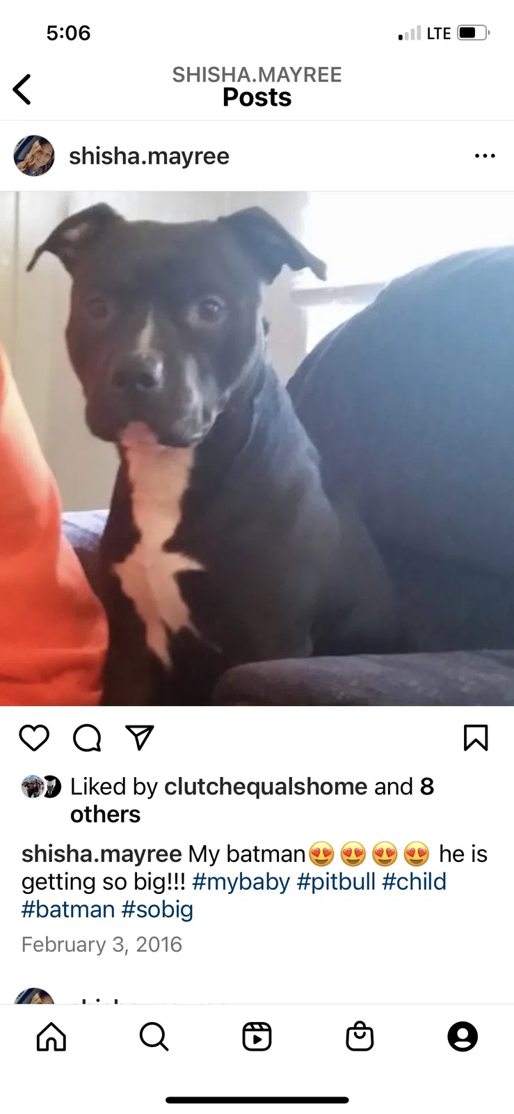 Lost dog in Sulphur, LA, 70663