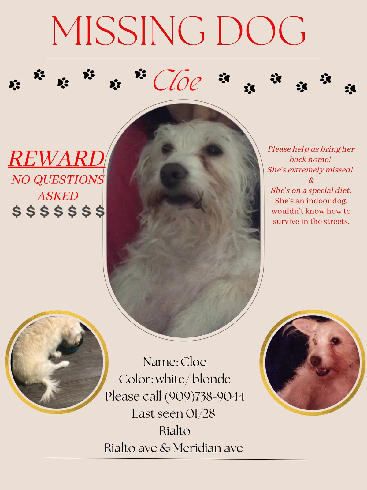 Lost dog in Rialto, CA, 92376