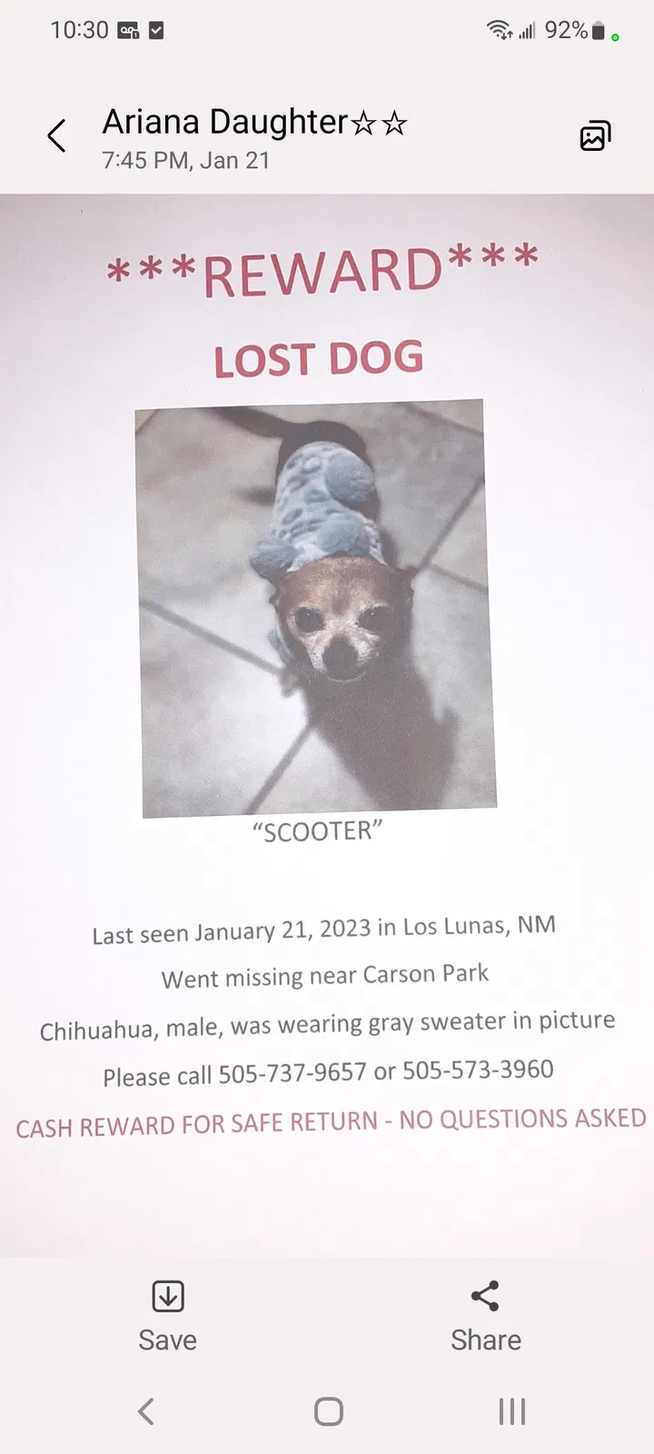 Lost dog in Los Lunas, NM, 87031