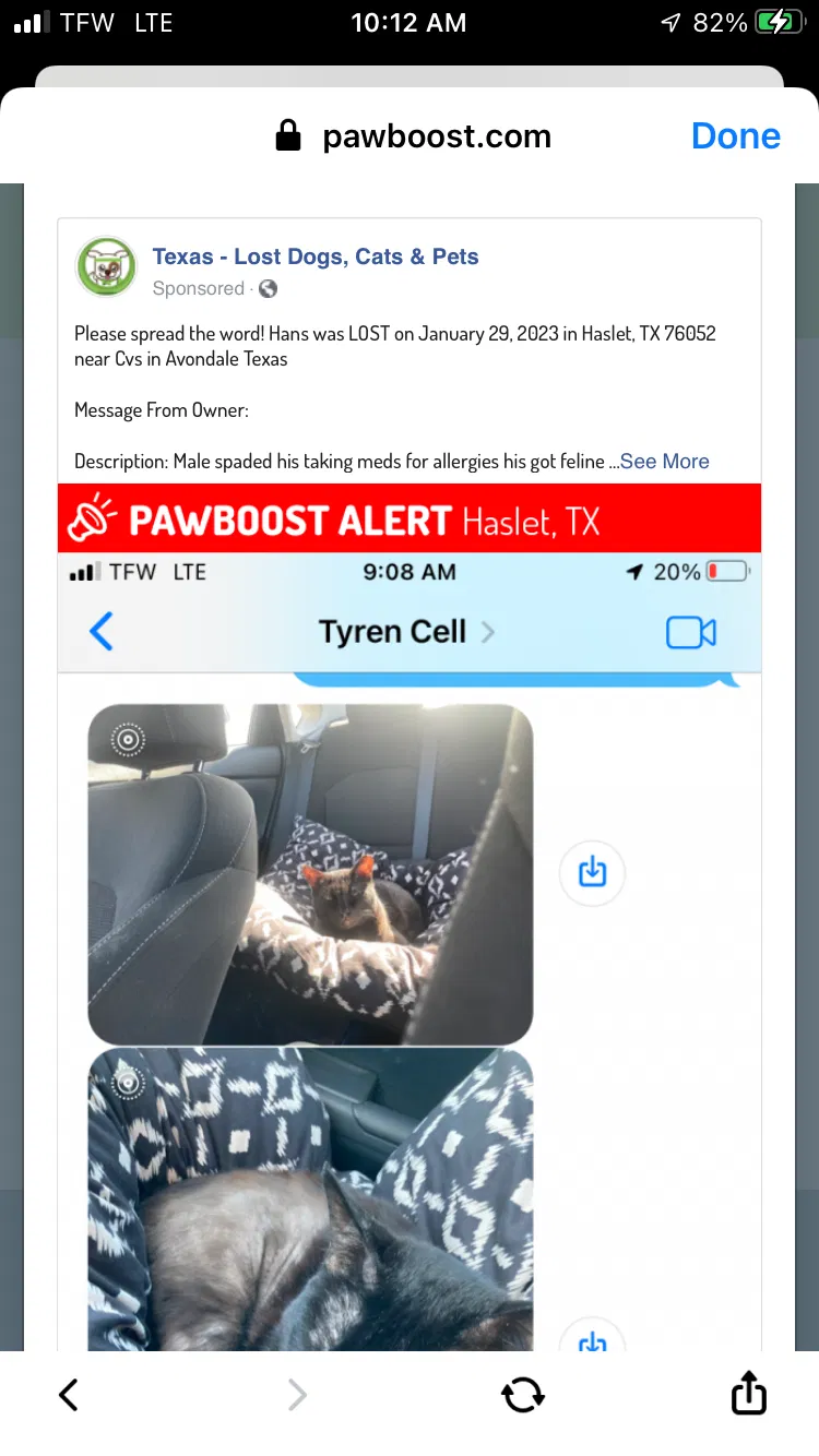 Lost cat in Unknown, TX, 0