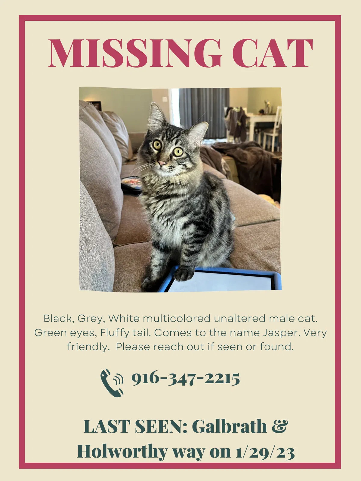 Lost cat in Sacramento, CA, 95842