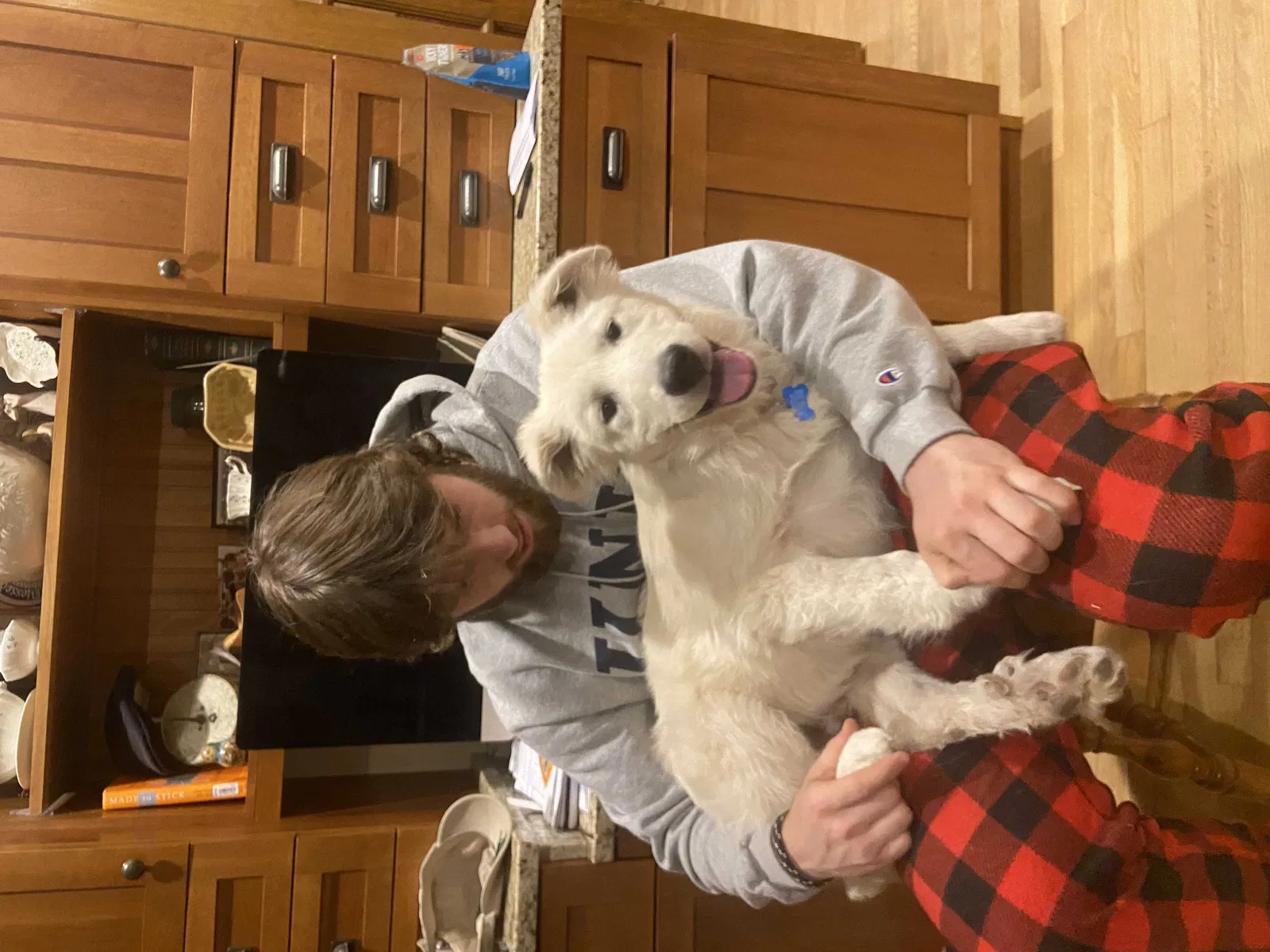 Lost dog in Chelmsford, MA, 1824