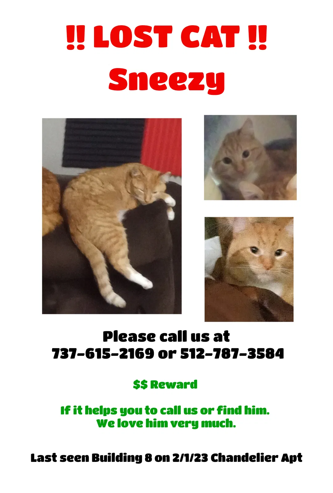 Lost cat in Austin, TX, 78741