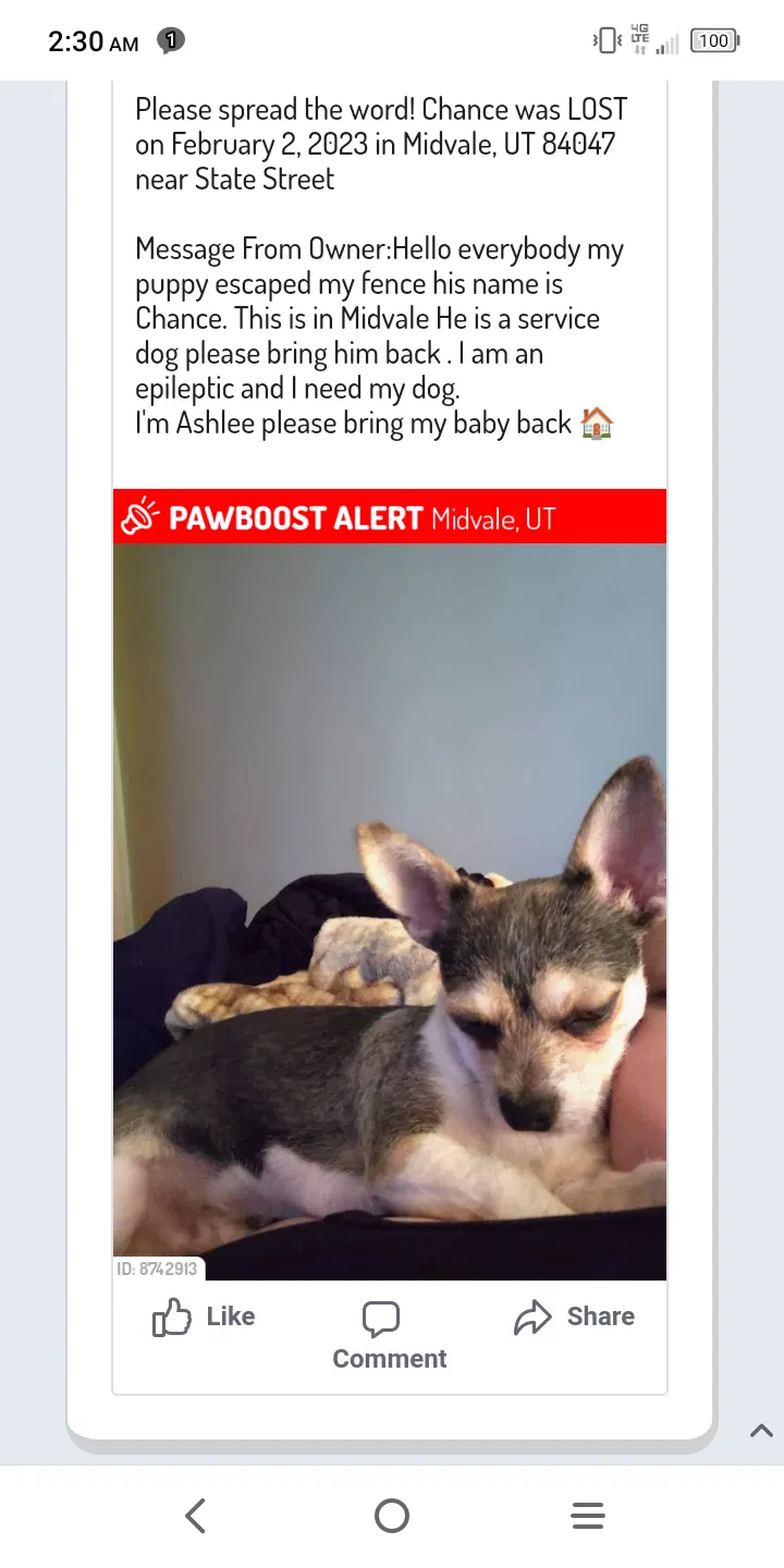 Lost dog in Midvale, UT, 84047
