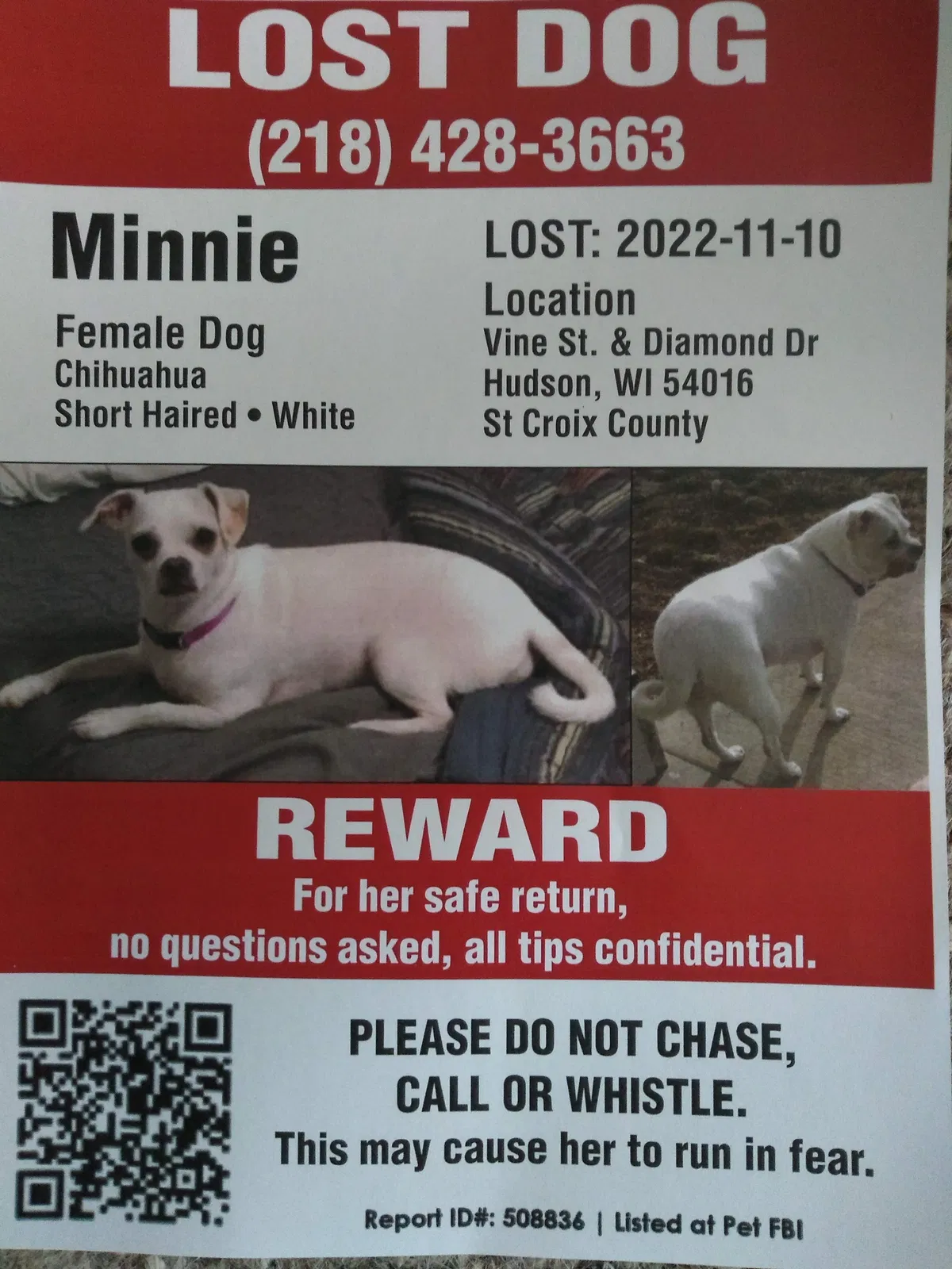 Lost dog in Hudson, WI, 54016
