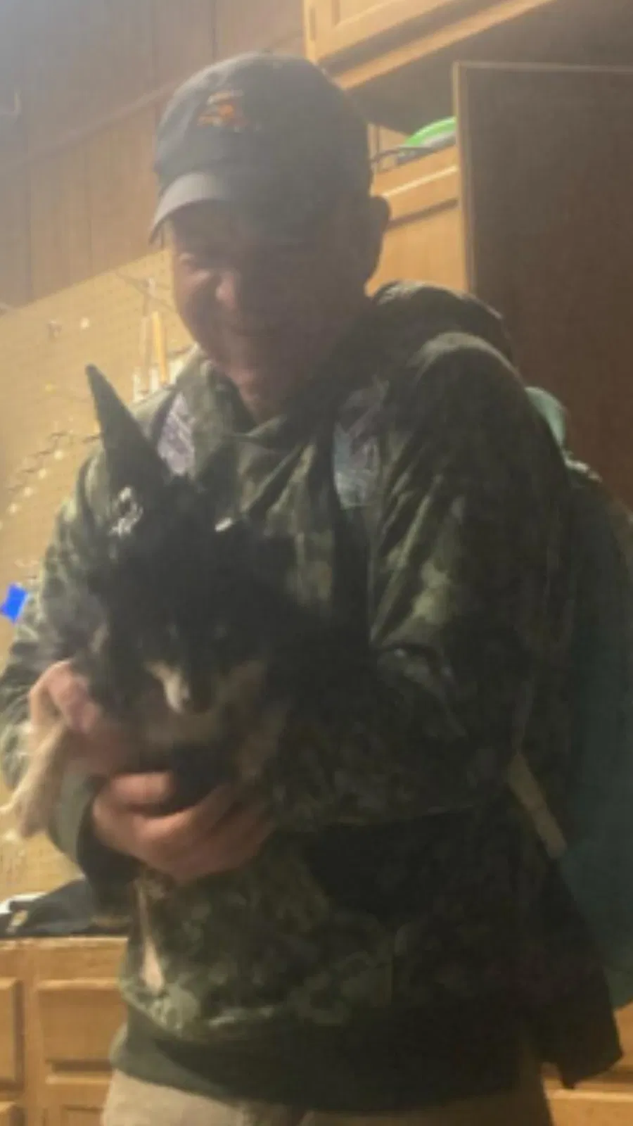 Lost dog in Knoxville, TN, 37917