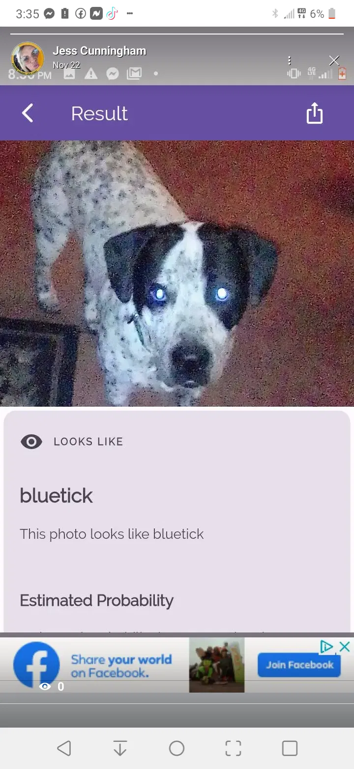 Lost dog in Warrenton, MO, 63383
