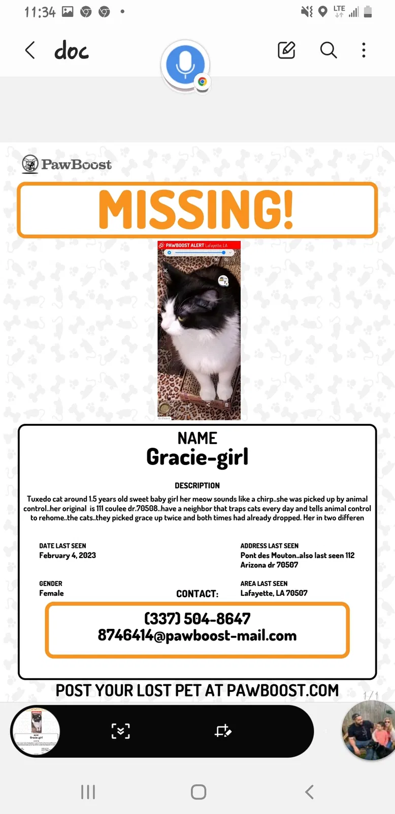 Lost cat in Lafayette, LA, 70508