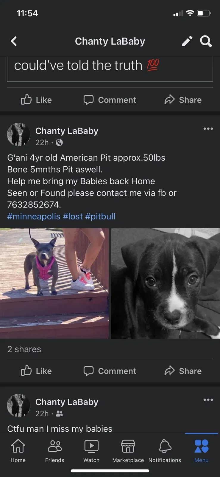 Lost dog in Chaska, MN, 55318